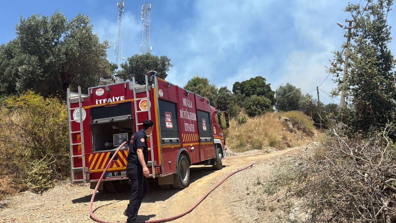 Bodrum’da Makilik Alanda Yangın: Ekipler Alevlere Müdahale Ediyor 1
